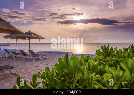 Una fotografia orizzontale di un tranquillo resort sulla spiaggia al tramonto, con cespugli verdi in primo piano, sedie a sdraio vuote e ombrelloni sulla sabbia Foto Stock