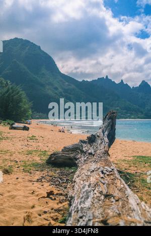 Una fotografia verticale che si concentra su un grande pezzo di mare sulla sabbia di Tunnels Beach (Ha'ena), con l'oceano turchese e l'iconica bocca verde Foto Stock