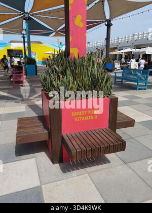 Un luogo di relax soleggiato a Kite Beach Dubai con panchine e simpatico cartello "Boost your Vitamin C", che invita i visitatori a godersi il sole e il tempo libero in riva al mare. Foto Stock