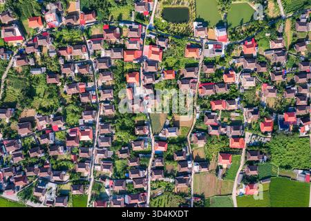 Vista dall'alto del villaggio rustico tra lussureggianti risaie verdi nella periferia di Bac Son Valley, Vietnam Foto Stock