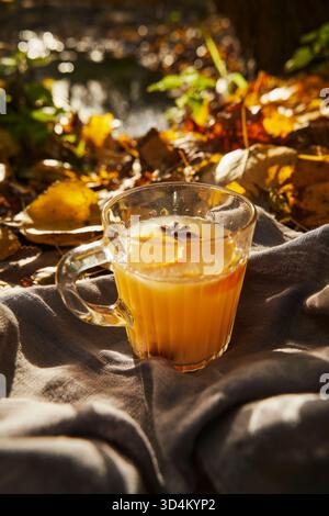 Sidro di mele caldo con fette arancioni e anice stellato su tessuto grigio all'aperto, autunno Foto Stock