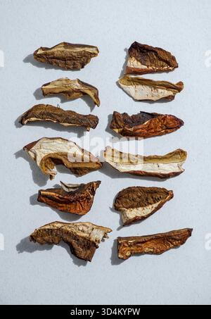 Funghi porcini essiccati su una superficie neutra. Fotografia gastronomica moderna e minimalista con luce dura e ombre intense. Concetto organico rustico, Foto Stock