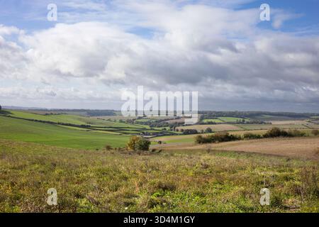 Vista sui campi in autunno, East Garston, Berkshire, Inghilterra, Regno Unito, Europa Foto Stock