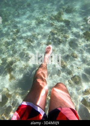 Vista subacquea delle gambe di una persona che indossano i tronchi da nuoto rossi e neri, sommerse in acque poco profonde e limpide su un fondale sabbioso con rocce sparse e p Foto Stock