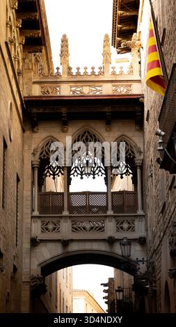 Pont del Bisbe, quartiere Gotico, Barcellona, Spagna Foto Stock