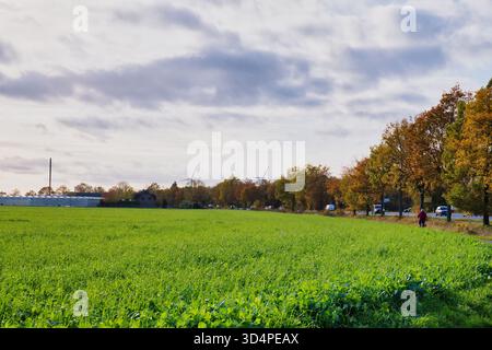 Verde campo rurale con alberi e turbine eoliche sotto il cielo nuvoloso in un tranquillo paesaggio rurale durante la stagione autunnale Foto Stock
