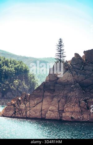 Scatto verticale di un pino solitario in piedi resilientemente su una formazione rocciosa fratturata nel Green Canyon, Turchia Foto Stock
