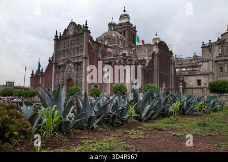 Templo Mayor: Sito archeologico e museo nel centro storico di città del Messico, Messico Foto Stock