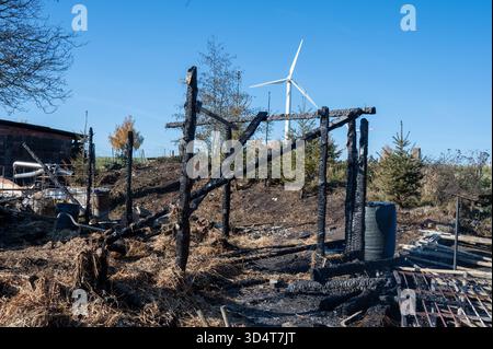 AGGIORNAMENTO: Lunzenau - Einfamilienhaus nach Brand komplett zerstört Großer Sachschaden, Brandursache unklar 06.11.2025 gegen 13 Uhr Lunzenau OT Klein Schlaisdorf, Feldstraße PM Polizeidirektion Chemnitz: Feuerwehr, Polizei und Rettungskräfte sind in der vergangenen Nacht in der Privatgrundstück auf inseinem Feldstraße zum Eatz gekommen. Nach dem derzeitigen Kenntnisstand War es aus noch ungeklärter Ursache in einem Nebengelass zum Brand gekommen, welcher sich in der Folge ausbreitete und auf ein angrenzendes Einfamilienhaus übergriff. Die beiden Bewohner 53/W, 53/m hatten sich selbstständig in SIC Foto Stock