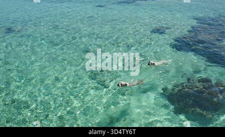 Due cani si godono una rilassante nuotata nelle acque turchesi cristalline in una giornata di sole, circondati da splendide formazioni rocciose e da un vivace ambiente marino barriera corallina. Remoto paradiso naturale, aereo Foto Stock
