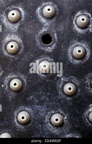 Primo piano di una superficie nera testurizzata con fori circolari distanziati uniformemente, con disposizione geometrica simmetrica e toni neutri. Foto Stock