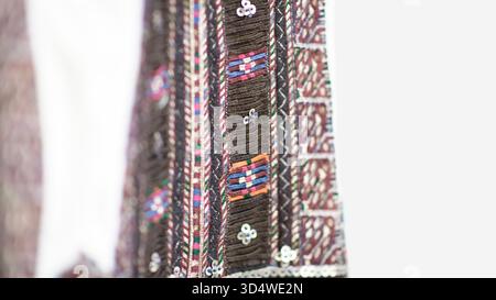 Autentici ricami secolari su costumi tradizionali bulgari da donna che mostrano motivi lavorati a mano e artigianato del patrimonio culturale Foto Stock