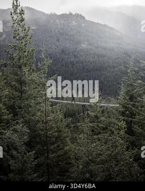 Veduta di una figura solitaria che cammina su un ponte tra torreggianti sempreverdi, Squamish, British Columbia, Canada. Foto Stock