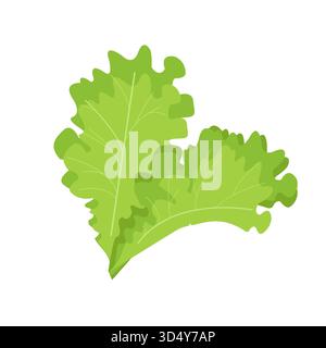 Foglie di lattuga verde con bordi morbidi e ondulati su sfondo bianco. Illustrazione vettoriale di verdi freschi e succosi in uno stile piatto e minimalista. Illustrazione Vettoriale