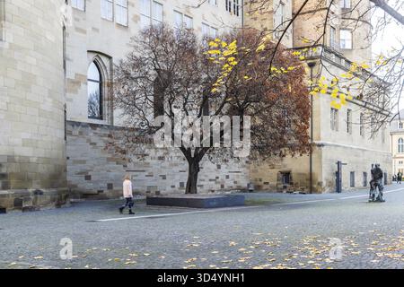 Wuerttemberg State Museum nel vecchio castello di Stoccarda. Vista esterna in autunno. Stoccarda, Baden-Wuerttemberg, Germania Foto Stock
