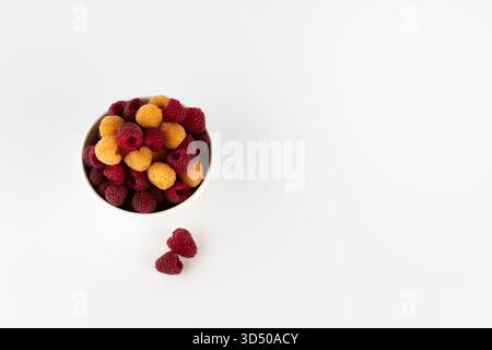 Una ciotola mostra un colorato mix di lamponi gialli e rossi, con alcune bacche sparse nelle vicinanze, evidenziandone la consistenza succosa e i colori vivaci Foto Stock