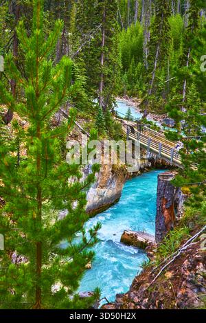 Fiume turchese che scorre attraverso il canyon boscoso con ponte in legno e lussureggianti pini Foto Stock