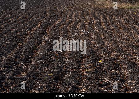 Terreno agricolo appena arato con terreno fertile scuro e foglie secche nel paesaggio di campagna autunnale, terreno agricolo preparato per nuove colture. Foto Stock