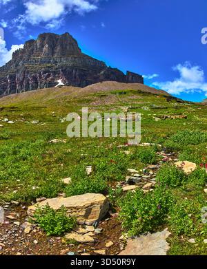 Mountain Peak Wildflower Meadow and Stream in Summer Landscape Foto Stock