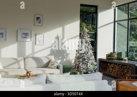 Albero di Natale smerigliato accanto alle grandi finestre, che proietta ombre a vetri Foto Stock
