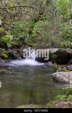 Scatto verticale di un veloce ruscello di montagna che scorre a cascata su rocce coperte di muschio in una fitta e scura foresta. L'immagine acquisisce il movimento dinamico di Foto Stock