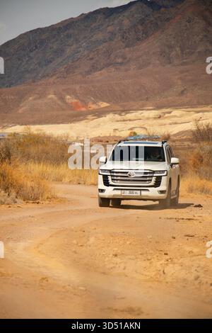 Naryn, Kirghizistan - 13 dicembre 2024: Una Toyota Land Cruiser 300 bianca che guida su una strada sterrata curva attraverso una macchia arida, con alte montagne marroni Foto Stock