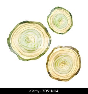 Illustrazione ad acquerello di fette di alberi di legno con toni verdi e beige naturali. Perfetto per l'artigianato natalizio, il design rustico di nozze, lo stile ecologico Foto Stock