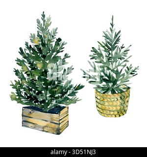 Illustrazione ad acquerello di due piccoli alberi di Natale in vasi di legno e vimini. Perfetto per l'arredamento accogliente delle vacanze, biglietti d'auguri, stampe eco-style e. Foto Stock