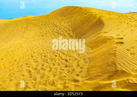 Ampie dune di sabbia dorata del paesaggio desertico, il Parco Nazionale Medanos de Coro in Venezuela. Numerose impronte umane rientrano nelle dune della superficie increspata Foto Stock