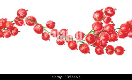Ribes rosso. Bordo estivo senza cuciture acquerello con ribes rosso isolato su bianco. Design ripetibile con bacca botanica per confezionamento, tessuto Foto Stock