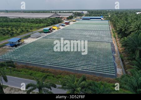 Una fotografia aerea ad alta risoluzione che mostra una moderna struttura agricola su larga scala caratterizzata da vaste strutture agricole idroponiche disposte in precis Foto Stock