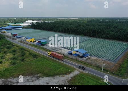Una fotografia aerea ad alta risoluzione che mostra una moderna struttura agricola su larga scala caratterizzata da vaste strutture agricole idroponiche disposte in precis Foto Stock
