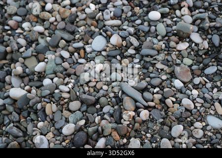 Levigare le pietre ovali sulla riva del mare Foto Stock