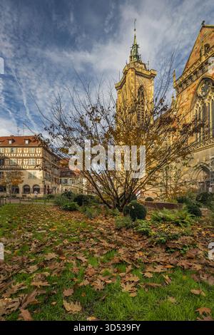 Chiesa di San Martino, Colmar, Haut-Rhin, Grand Est, Francia Foto Stock