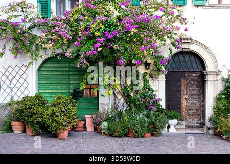 Piccola collezione di piante in pentole di terracotta di fronte ad una vecchia casa, Torbole, lago di Garda, trentino, Italia Foto Stock