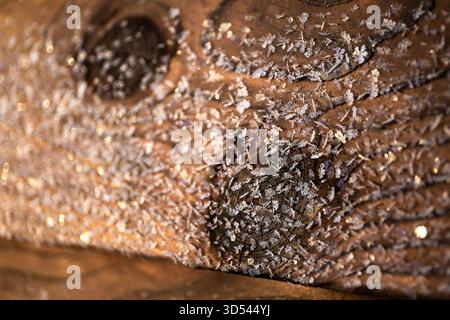 Rivestimento in legno ricoperto di fiocchi di neve. Tavole di legno marrone dalla texture ricca creano uno stile rustico e vintage. Finiture calde e naturali delle pareti. Dettagli di Foto Stock
