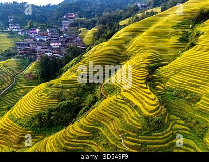 Vista aerea delle risaie a terrazze di Longsheng nella regione del Guangxi, Cina Foto Stock