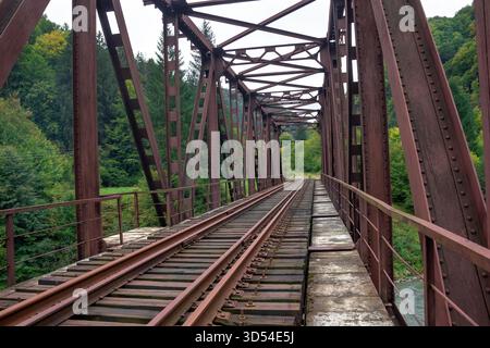 Ponte ferroviario di montagna con binari a doppio scartamento lungo il fiume che collega le rotte merci e il trasporto ferroviario di passeggeri Foto Stock