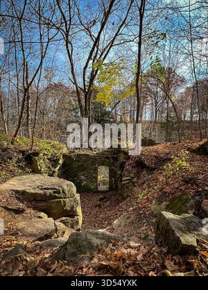 Le storiche rovine in pietra con un'unica porta si trovano in una tranquilla foresta circondata da foglie autunnali cadute. Tranquillo scenario boschivo che fonde natura e. Foto Stock