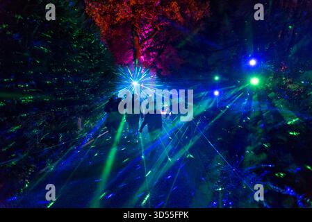 Sentiero notturno di Halloween a Blenheim Palace, Woodstock, Regno Unito Foto Stock