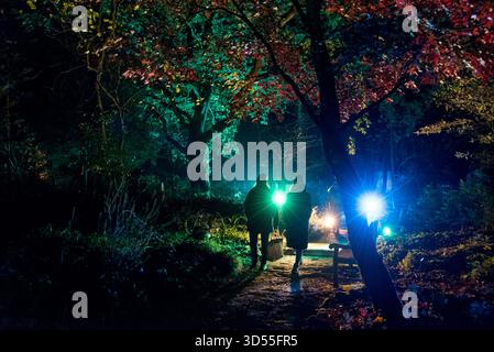 Sentiero notturno di Halloween a Blenheim Palace, Woodstock, Regno Unito Foto Stock