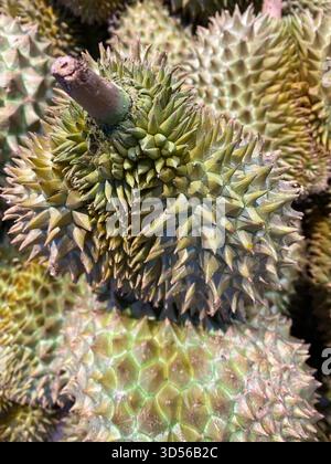 Frutta duriana mostrata in un mercato Foto Stock