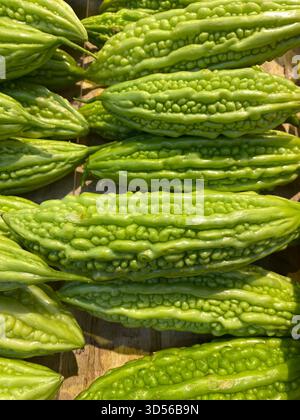 Meloni amari freschi (buongustai) al mercato asiatico locale Foto Stock