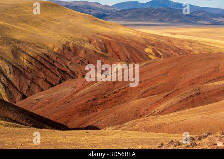 Vasto paesaggio desertico con colline color ocra e lontane montagne blu sotto il cielo limpido Foto Stock
