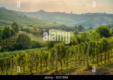 Vista panoramica delle dolci colline e dei vigneti terrazzati delle Langhe, Neive, Piemonte, Italia. Il paese di Barbaresco sullo sfondo Foto Stock