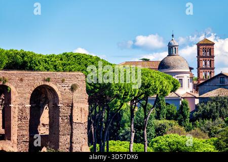 Vista delle antiche rovine romane sul colle Palatino con pini in pietra (Pinus pinea) e la cupola e il campanile della Basilica dei Santi Giovanni e Paolo Foto Stock