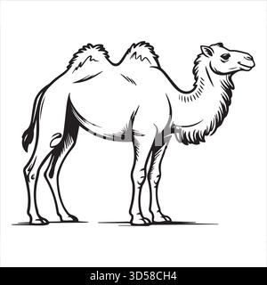 Illustrazione d'arte Camel Line - Clipart cammello bianco e nero Illustrazione Vettoriale