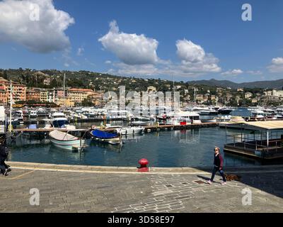Italia. Santa Margherita Ligure. Vista sul lungomare e sulle barche nel porto. Foto Stock