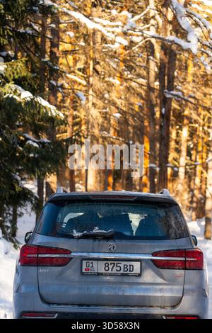 Issyk-Kul, Kirghizistan - 13 dicembre 2024: Vista ravvicinata di un SUV MG grigio che mostra il logo AWD, parcheggiato su una strada innevata vicino a alberi baciati dal sole Foto Stock