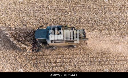 14.11.2025, Neukirchen an der Enknach, AUT, Unterwegs in Oberösterreich, Symbolbild, Themenbild, Verschiedene Themenbilder, Mais, Ernte, Mähdrescher, im Bild Das Bild zeigt eine Vogelperspektive auf eine landwirtschaftliche Szene während der Maisernte. In der Mitte des Bildes ist eine Erntemaschine zu sehen, die durch ein Feld mit vertrockneten Maispflanzen fährt. Die Maschine ist mit einer großen Ladefläche ausgestattet, Die zum Sammeln der Ernte dient. Um die Maschine herum sind die Reihen der Maispflanzen deutlich sichtbar, die bereits geerntet wurden. Der Boden ist staubig, era darauf hind Foto Stock